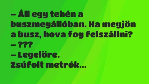 Viccek: Áll egy tehén a buszmegállóban. Ha megjön a busz, hova fog felszállni?