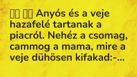 Viccek:
Anyós és a veje hazafelé tartanak a piacról…. Viccek:
Anyós és a veje hazafelé tartanak a piacról….