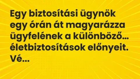 Viccek: Egy biztosítási ügynök egy órán át magyarázza ügyfelének a különböző…