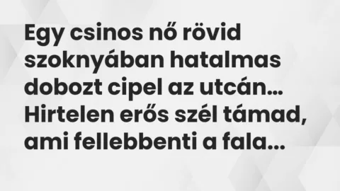 Viccek: Egy csinos nő rövid szoknyában hatalmas dobozt cipel az utcán…