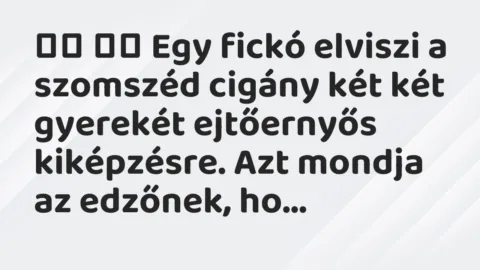 Viccek:
Egy fickó elviszi a szomszéd cigány két két… Viccek:
Egy fickó elviszi a szomszéd cigány két két…