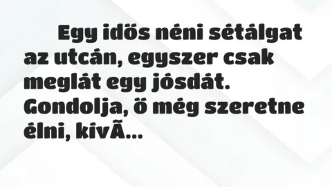 Viccek:
Egy idős néni sétálgat az utcán, egyszer csak… Viccek:
Egy idős néni sétálgat az utcán, egyszer csak…