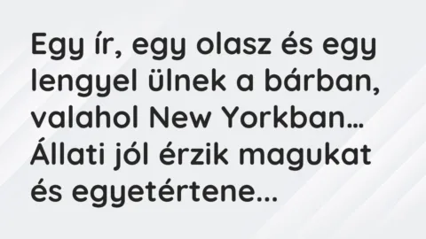 Viccek: Egy ír, egy olasz és egy lengyel ülnek a bárban, valahol New Yorkban…