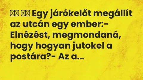Viccek:
Egy járókelőt megállít az utcán egy ember:-… Viccek:
Egy járókelőt megállít az utcán egy ember:-…
