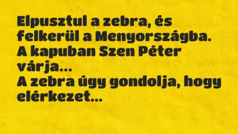 Viccek: Elpusztul a zebra, és felkerül a Menyországba. A kapuban Szen Péter…