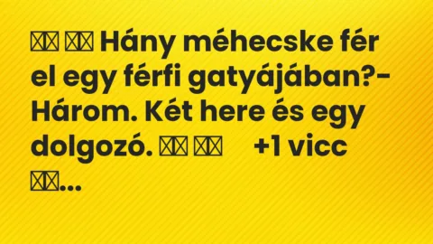 Viccek: 
		  
		  Hány méhecske fér el egy férfi gatyájában?-…