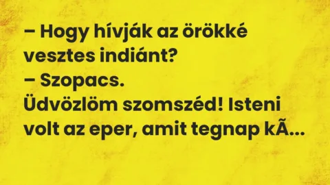Viccek: Hogy hívják az örökké vesztes indiánt?