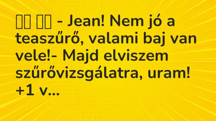 Viccek:
– Jean! Nem jó a teaszűrő, valami baj van… Viccek:
– Jean! Nem jó a teaszűrő, valami baj van…
