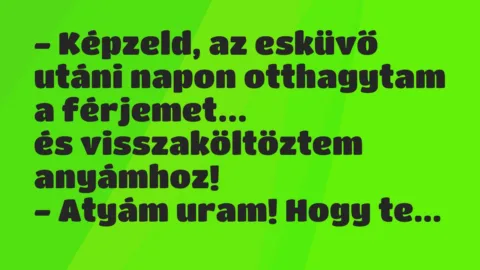 Viccek: Képzeld, az esküvő utáni napon otthagytam a férjemet…