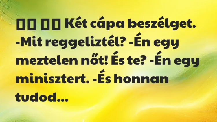 Viccek:
Két cápa beszélget. -Mit reggeliztél? -Én… Viccek:
Két cápa beszélget. -Mit reggeliztél? -Én…