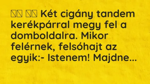 Viccek:
Két cigány tandem kerékpárral megy fel a… Viccek:
Két cigány tandem kerékpárral megy fel a…