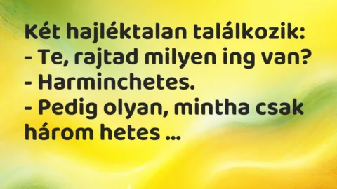 Viccek: Két hajléktalan találkozik…