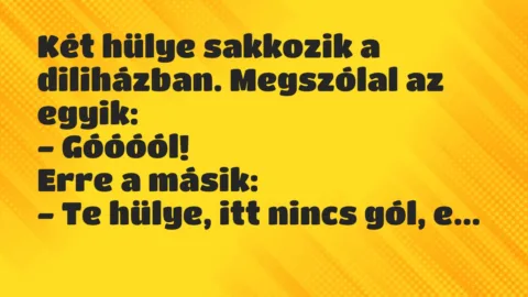 Viccek: Két hülye sakkozik a diliházban. Megszólal az egyik… Viccek: Két hülye sakkozik a diliházban. Megszólal az egyik…