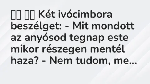 Viccek: 
		  
		  Két ivócimbora beszélget: – Mit mondott az…