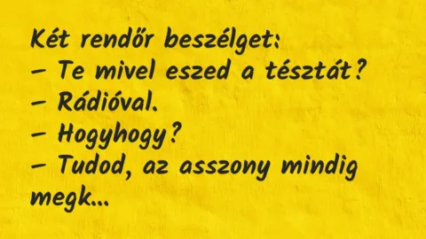Viccek: Két rendőr beszélget…