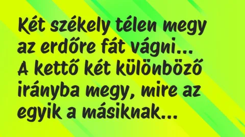 Viccek: Két székely télen megy az erdőre fát vágni. A kettő két különböző…