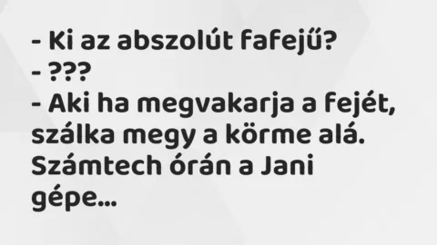 Viccek: Ki az abszolút fafejű?