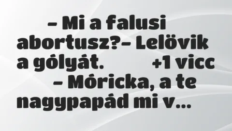 Viccek: 
		  
		  – Mi a falusi abortusz?- Lelövik a gólyát.		 …