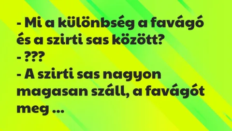 Viccek: Mi a különbség a favágó és a szirti sas között?