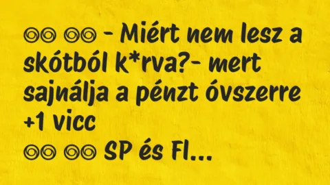Viccek: 
		  
		  – Miért nem lesz a skótból k*rva?- mert…