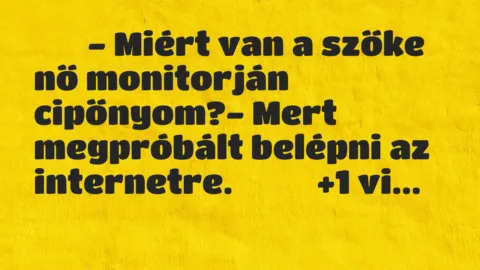 Viccek: 
		  
		  – Miért van a szőke nő monitorján cipőnyom?- …