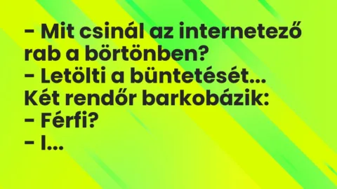 Viccek: Mit csinál az internetező rab a börtönben?