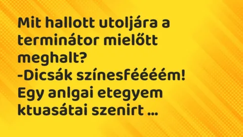 Viccek: Mit hallott utoljára a terminátor mielőtt meghalt?