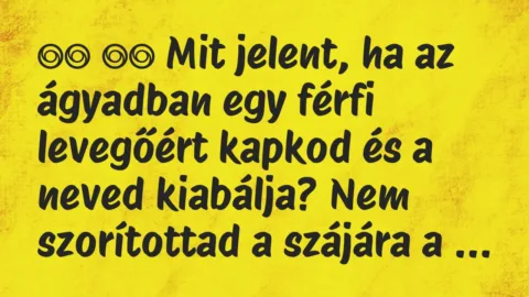 Viccek: 
		  
		  Mit jelent, ha az ágyadban egy férfi levegőért…