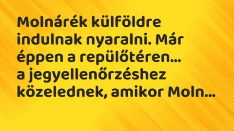Viccek: Molnárék külföldre indulnak nyaralni. Már éppen a repülőtéren…