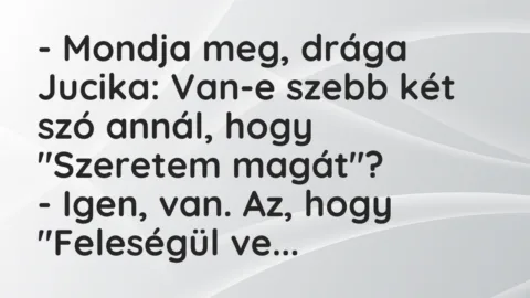 Viccek: Mondja meg, drága Jucika: Van-e szebb két szó annál, hogy “Szeretem…
