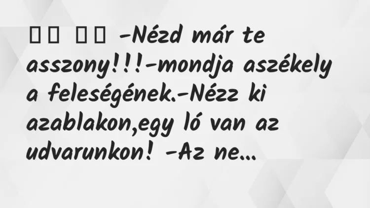 Viccek:
-Nézd már te asszony!!!-mondja aszékely a… Viccek:
-Nézd már te asszony!!!-mondja aszékely a…