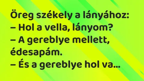 Viccek: Öreg székely a lányához…