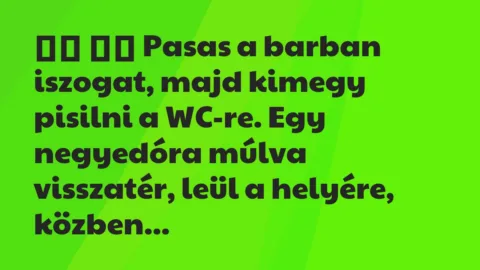 Viccek: 
		  
		  Pasas a barban iszogat, majd kimegy pisilni a…
