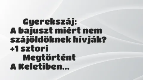 Vicces történet: 
	    	    Gyerekszáj:


A bajuszt miért nem szájöldöknek…