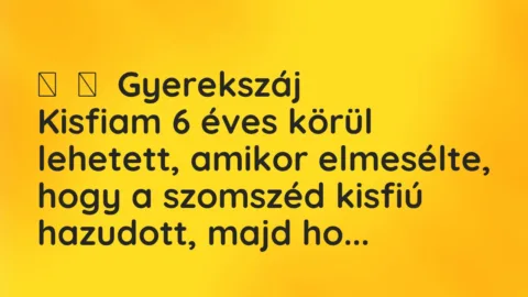 Vicces történet: 
	    	    Gyerekszáj


Kisfiam 6 éves körül lehetett, amikor…