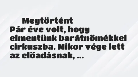 Vicces történet: 
	    	    Megtörtént


Pár éve volt, hogy elmentünk barátnőmékkel…