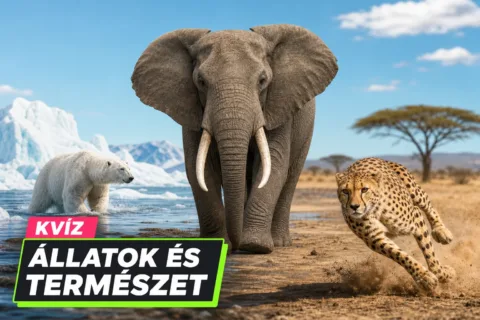Világ állatai kvíz: tipp nélkül felismered, melyik állat bújik meg a leírások mögött?