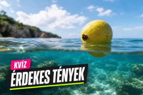 Világ érdekességei kvíz: tudod, mi lebeg, mi világít és hol tart a legtovább egy nap?
