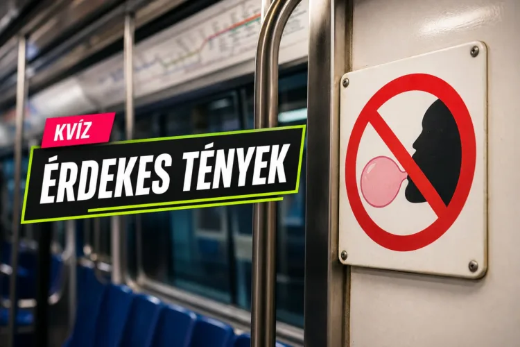 Világ furcsa törvényei kvíz: el tudod dönteni, melyik tiltás valódi, és melyik legenda? Világ furcsa törvényei kvíz: el tudod dönteni, melyik tiltás valódi, és melyik legenda?