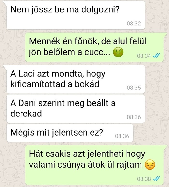 Vicces chat kép
