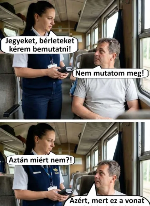 15 bliccelő utas, aki megpróbálta kidumálni magát a jegyellenőrnél