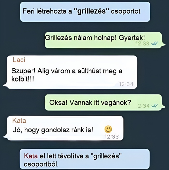 Kép egy vicces chatről.