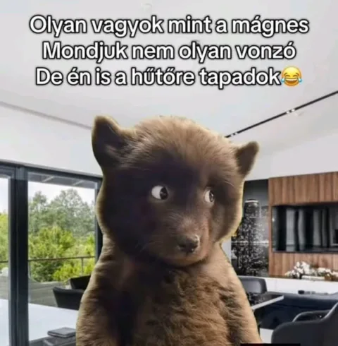 Olyan vagyok mint a mágnes...