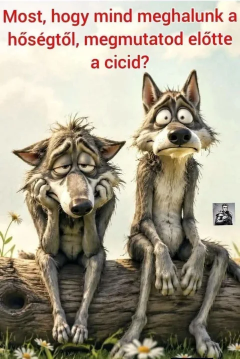 Most, hogy mind meghalunk a hőségtől, megmutatod előtte a cicid?
