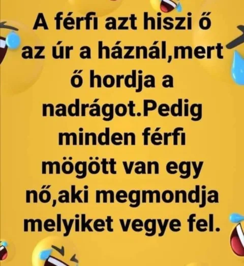 A férfi azt hiszi ő az úr a háznál...