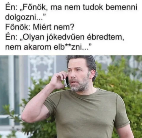 Főnök, ma nem tudok bemenni dolgozni...