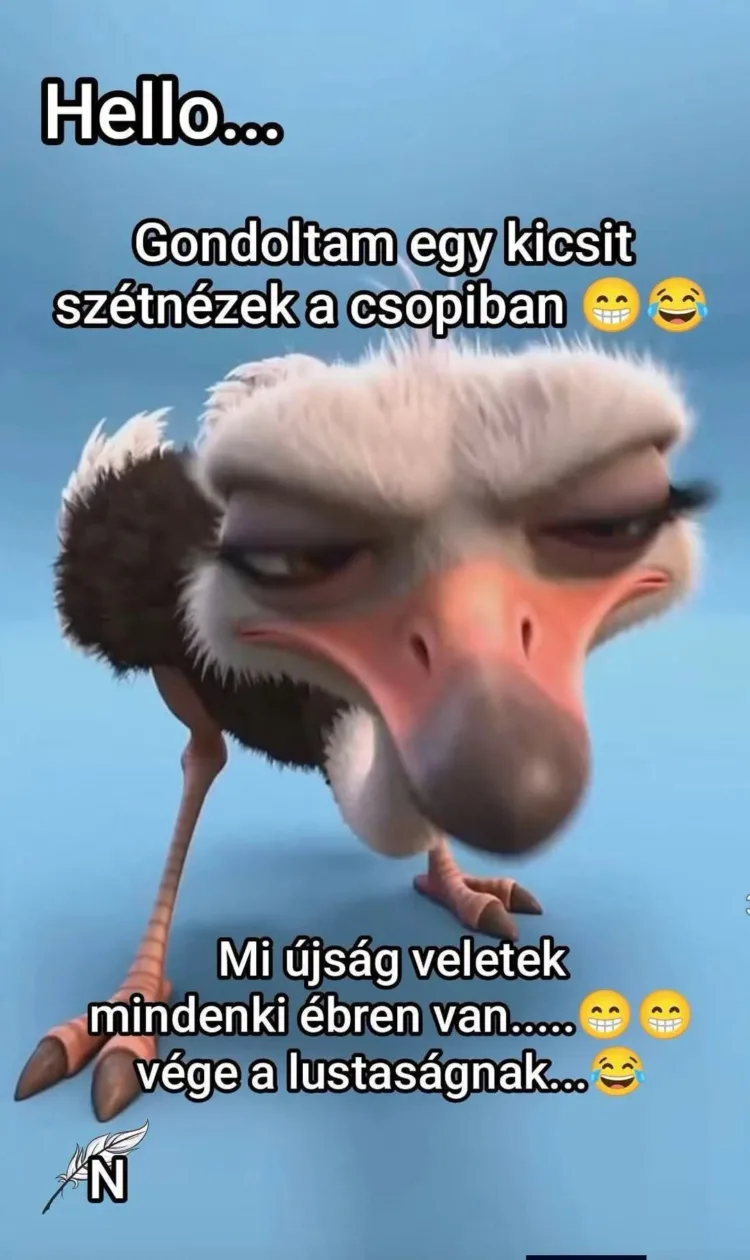 Gondoltam egy kicsit szétnézek a csopiban... Gondoltam egy kicsit szétnézek a csopiban...