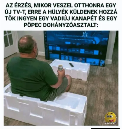Az érzés, mikor veszel otthonra egy új TV-t...