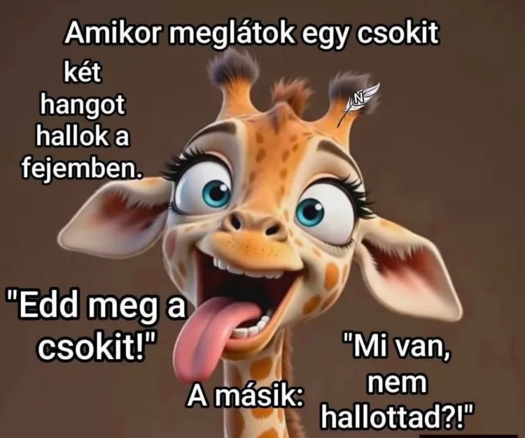 Amikor meglátok egy csokit... Amikor meglátok egy csokit...