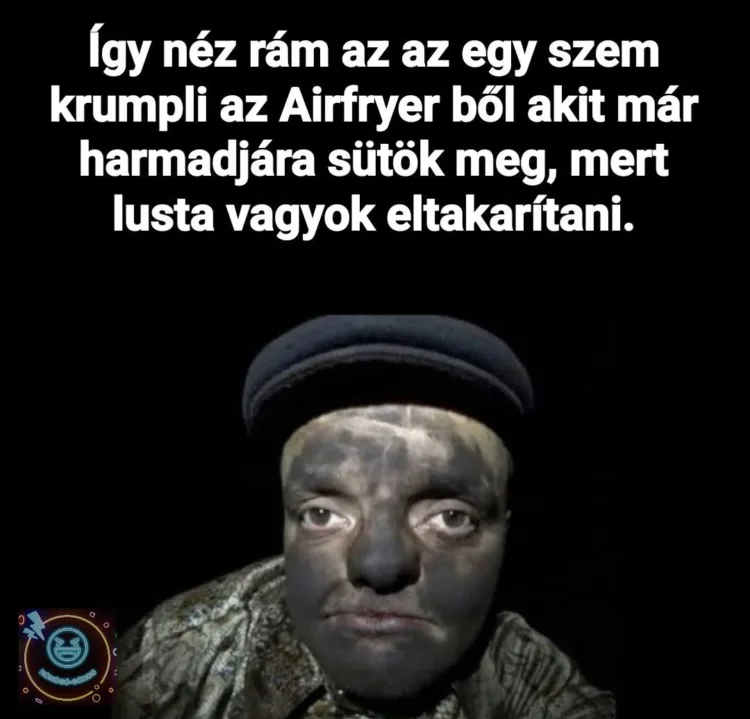 Így néz rám az az egy szem krumpli az Airfryerből... Így néz rám az az egy szem krumpli az Airfryerből...